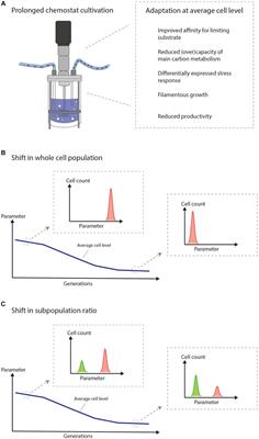 Single-Cell Technologies to Understand the Mechanisms of Cellular Adaptation in Chemostats